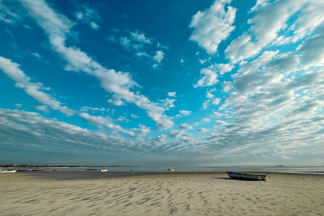 Sunrise Beach Walk with Picnic Breakfast Activity - Low Tide Treasure Hunting: walking where the sea leaves space