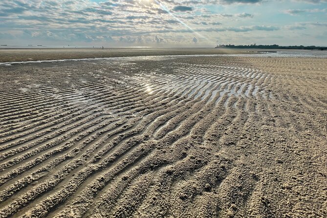 Sunrise Beach Walk with Picnic Breakfast Activity - Fishermen at work, optional but worth it