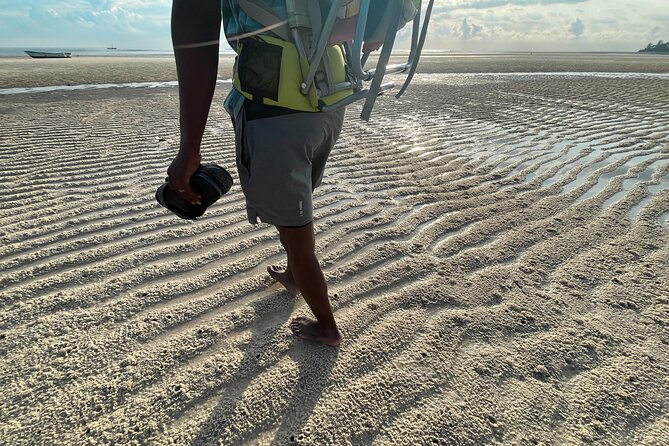 Sunrise Beach Walk with Picnic Breakfast Activity - Yoga time and fitness options on the beach