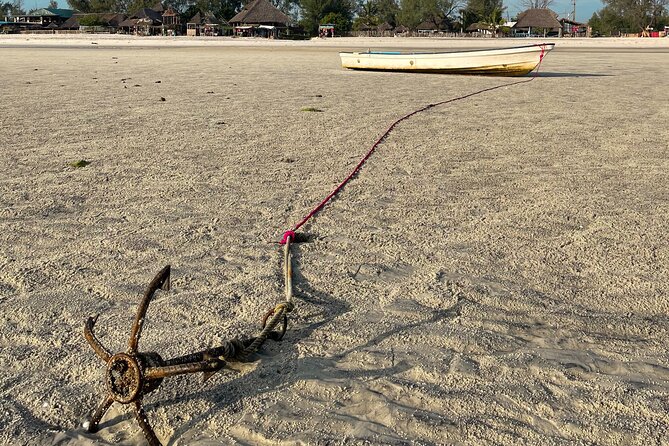 Sunrise Beach Walk with Picnic Breakfast Activity - The picnic breakfast: simple, included, and made for the morning