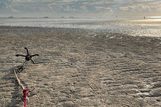 Sunrise Beach Walk with Picnic Breakfast Activity - Pickup, transport, and the value of not managing everything
