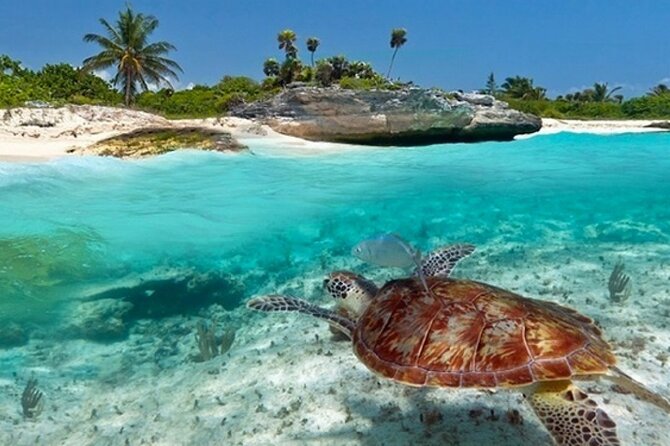 Super Zanzi, Nakupenda, Prison Island & Stone Town - Zanzibar - Prison Island Changuu: tortoises first, then the old prison ruins