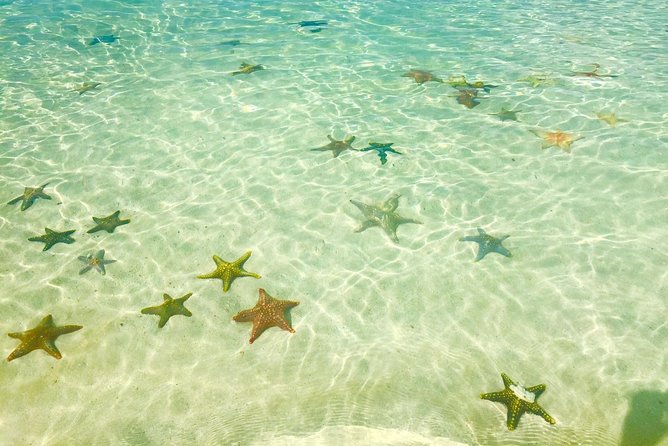 Super Zanzi, Nakupenda, Prison Island & Stone Town - Zanzibar - What to bring for snorkeling and a long island to town day