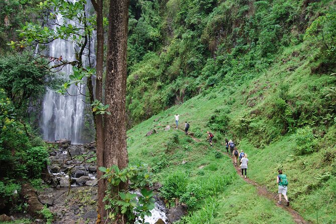 Swim to Materuni and Kikuletwa Hotspring - Quick hits for Materuni and Kikuletwa