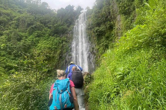 Swim to Materuni and Kikuletwa Hotspring - Practical tips for a smoother day (and better photos)