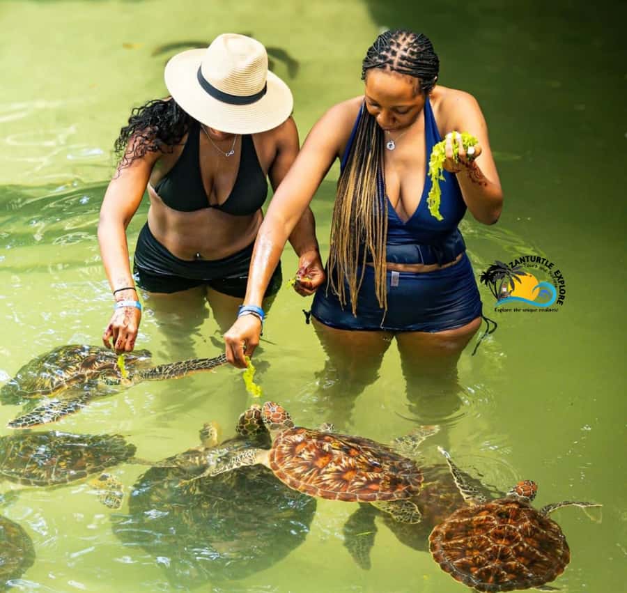 Swim with Turtles at The Lagoons Zanzibar & Stone Town Tour - Key things to know before you go