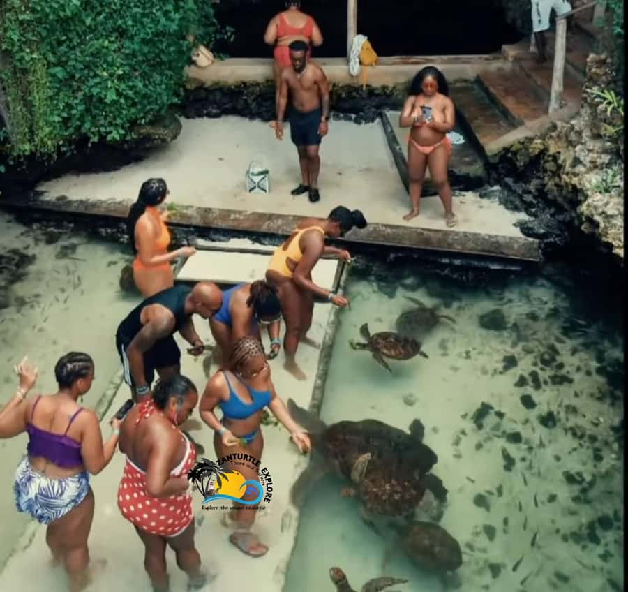 Swim with Turtles at The Lagoons Zanzibar & Stone Town Tour - Who should book this tour