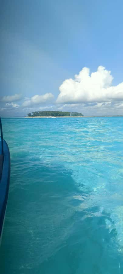 Swimming with tirltes at The Lagoons Zanzibar in Nungwi - Getting to The Lagoons Zanzibar in Nungwi
