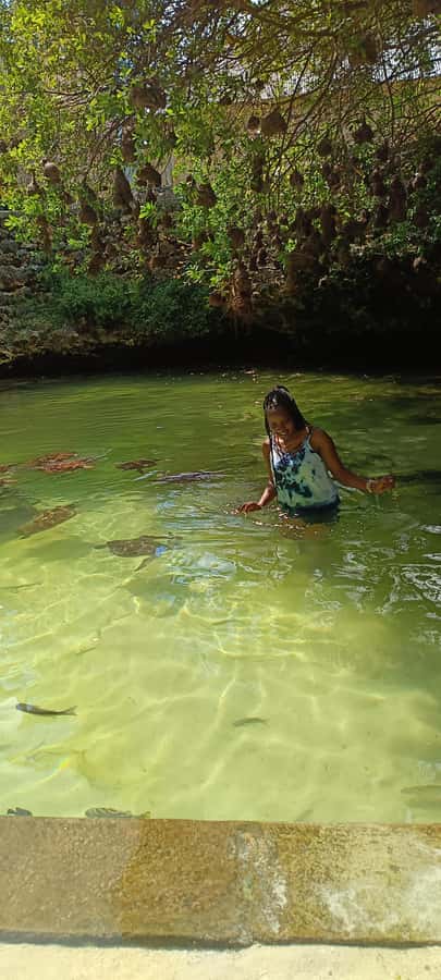 Swimming with tirltes at The Lagoons Zanzibar in Nungwi - What to bring (and what your body needs for a calm water day)