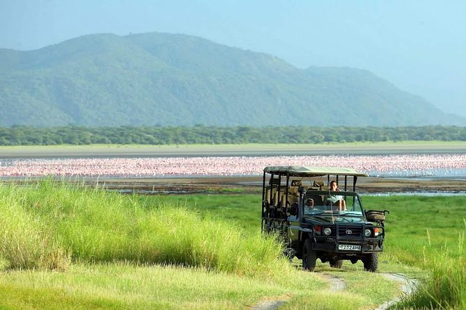 Tanzania 4 Days 3 Nights Budget camping safari to Serengeti and Ngorongoro - Serengeti first: migration hunting on a budget