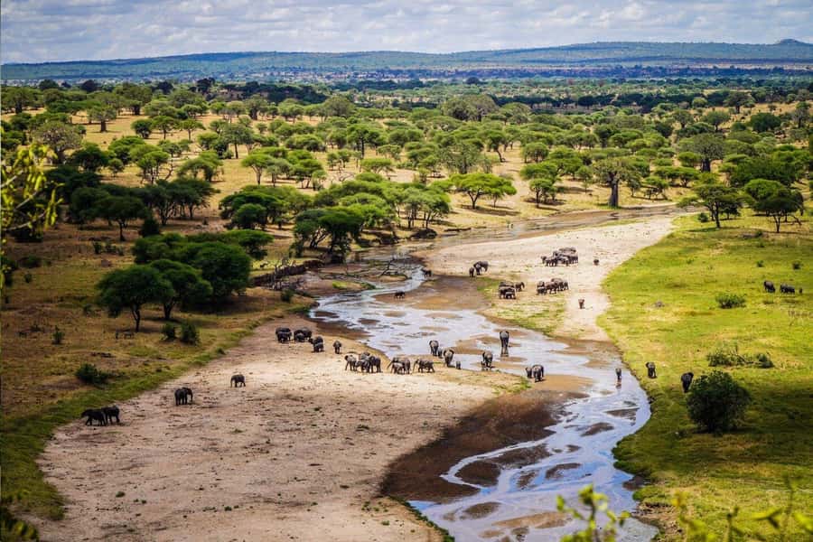 Tanzania: Big 5 Tour - Lunch at the Picnic Site and the Pace Between Drives