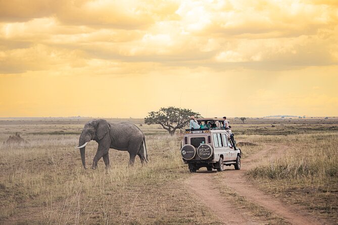 Tanzania Classic - 7 Days - Arusha Airport Welcome to Your Hotel, Where the Trip Actually Starts