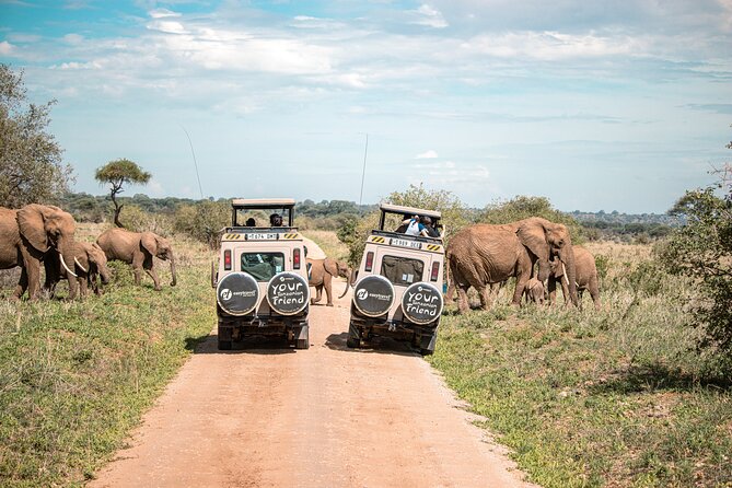 Tanzania Classic - 7 Days - Tarangire Finish, Where the Park Size Powers the Animal Chances