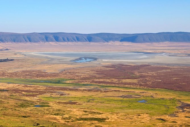 Tanzania Classic - 7 Days - 4X4 Toyota Cruiser, Your Driver-Guide, and the Small Comforts That Add Up