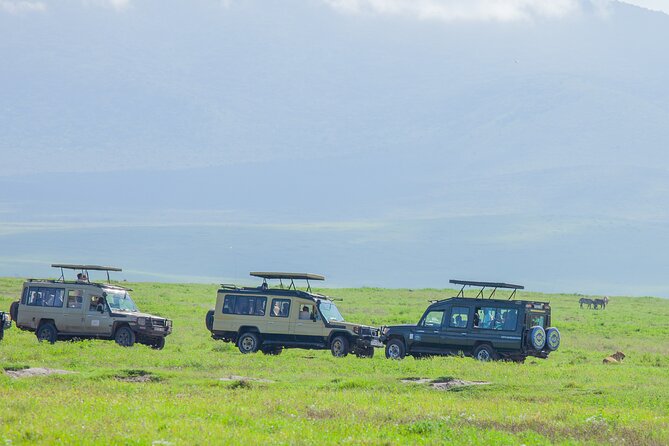 Tanzania Classic Safari 3 Days / 2 Nights - Key highlights to notice before you go