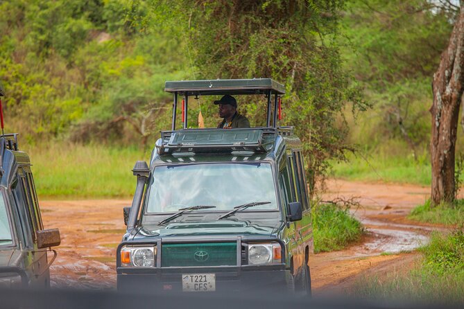 Tanzania Classic Safari 3 Days / 2 Nights - Why this 3-day route works for a classic Tanzania safari