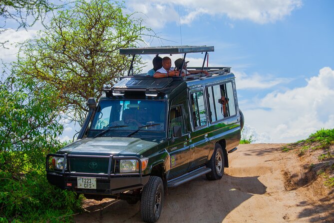 Tanzania Classic Safari 3 Days / 2 Nights - Lake Manyara afternoon: baobab shade, monkeys, and water-adjacent wildlife