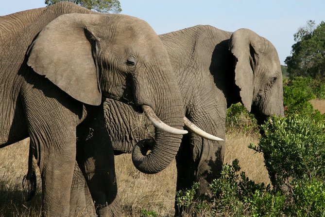 Tanzania Classic Safari 3 Days / 2 Nights - Price and logistics: what you get, what you pay extra for, and the value math