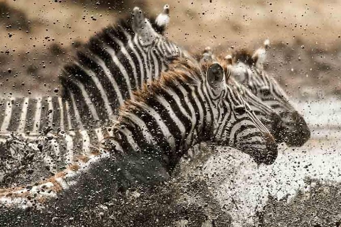 Tanzania Classic Safari - 7 Days - Arriving in Arusha, then getting safari-ready fast