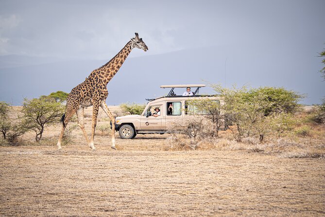 Tanzania Enticing Explorations - 6 Days - Tarangire: adding density and a second chance at the Big Cats