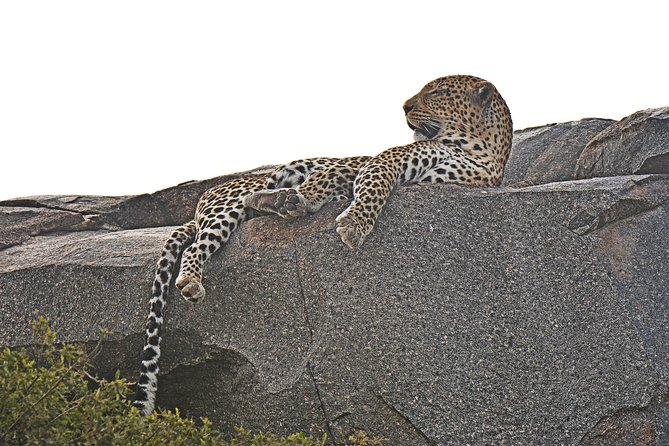 Tanzania Experience Safari and Tours - Price and logistics: what your $3,150 buys, and what you still need to plan