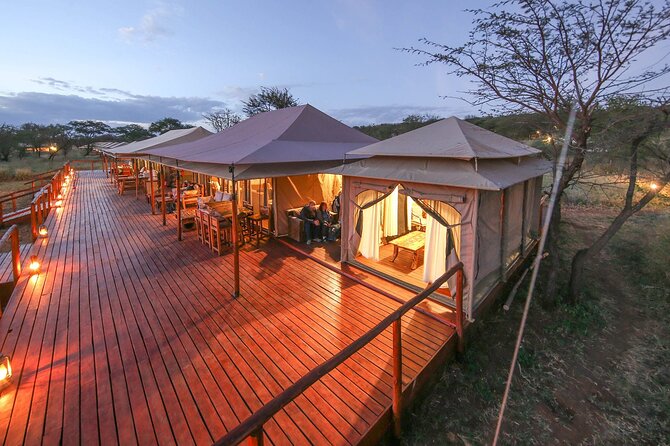 Tanzania Safari 10 Days- Serengeti, Lake Manyara, Ngorongoro Crater. - Days 7 to 8 in Serengeti: Sunrise Wildlife, Herd Chasing, and Optional Hot Air