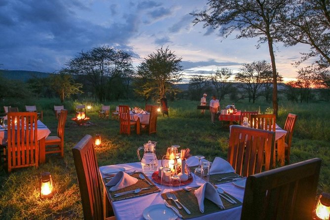 Tanzania Safari 10 Days- Serengeti, Lake Manyara, Ngorongoro Crater. - Day 1 to 2 in Tarangire: Baobabs, Big Elephants, and a Morning That Pays Off