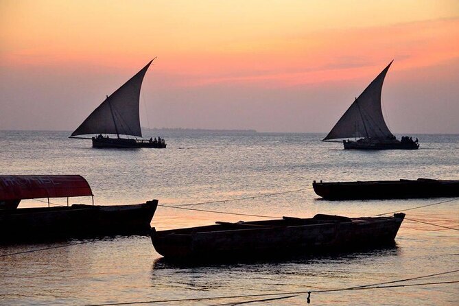 Tanzania Safari and Kilimanjaro Climb Multi-Day Experience - Key Things I’d Focus on Before You Go