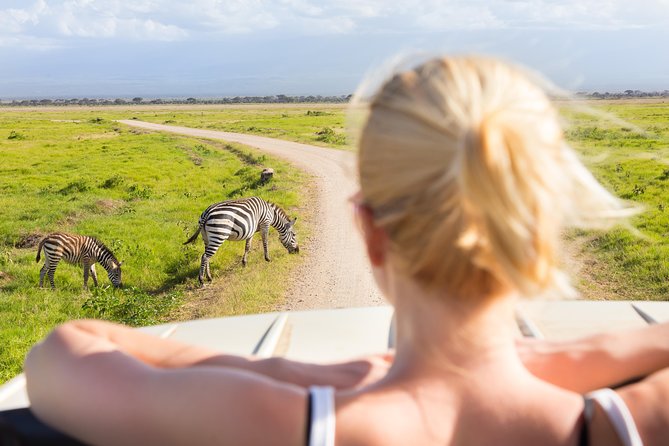 Tanzania Simba Safari - 5 Days - Who Should Book This Safari (and Who Might Want Something Else)