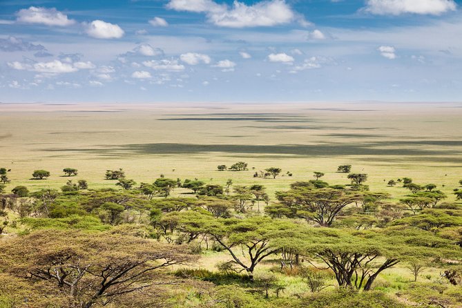 Tanzania Through The Rift Valley - 5 Days - Day 1 in Arusha, airport pickup and an easier first night