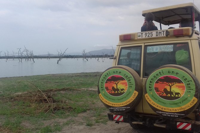 Tanzania Trip Amazing Tarangire Ngorongoro and Manyara - Materuni Waterfalls: coffee, village life, and a cooldown pool in the Kilimanjaro foothills