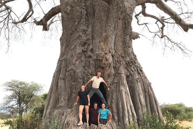 Tanzania Trip Amazing Tarangire Ngorongoro and Manyara - Price and value for a group of up to 6