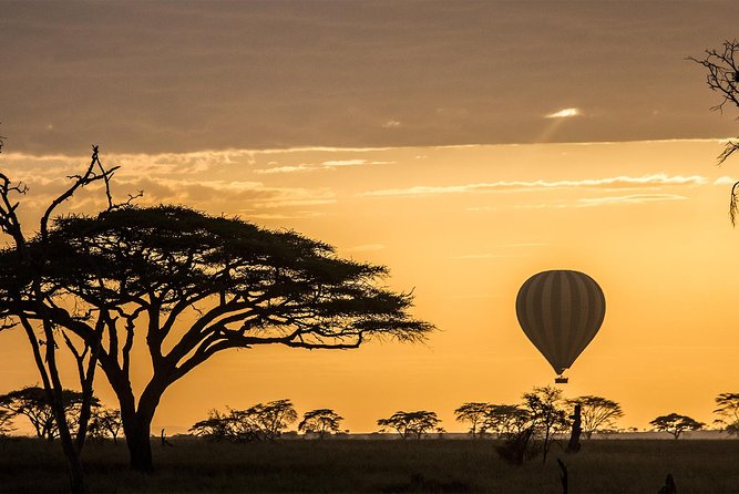 Tanzania wildlife & Cultural Safari- 11days - First morning in Arusha: you start at 6:00 am for a reason