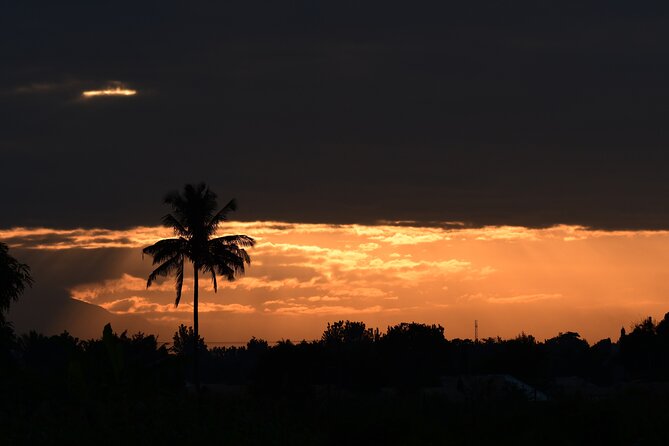 Tanzania Wildlife Cultural Safari from Arusha. - Key highlights before you book