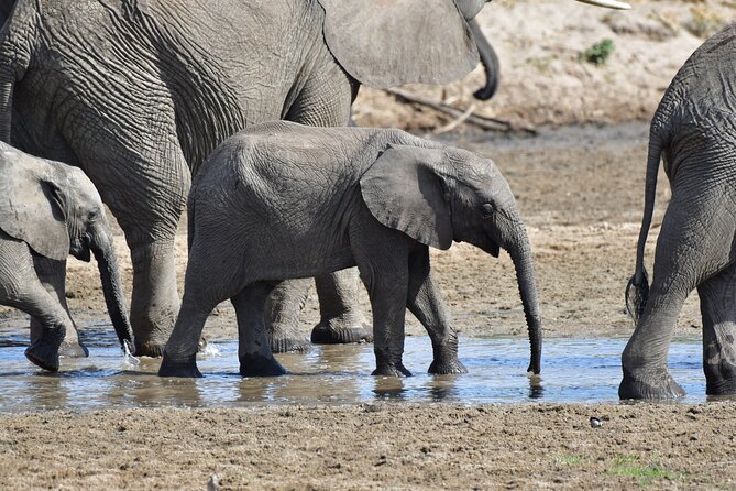 Tanzania Wildlife Cultural Safari from Arusha. - Why Arusha works so well for this Northern Circuit trip