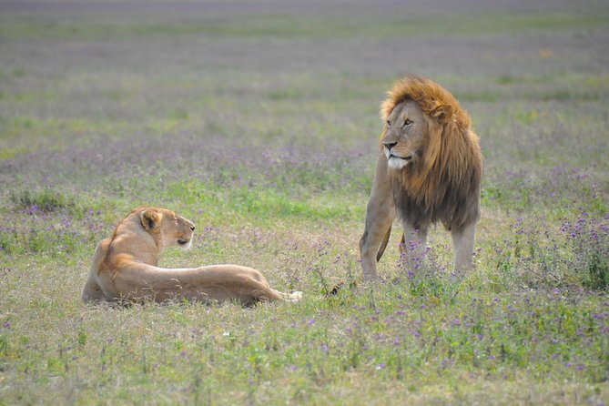Tanzania Wildlife Encounters - 6 Days - The Rift Valley drive to Serengeti: a long ride with big payoff