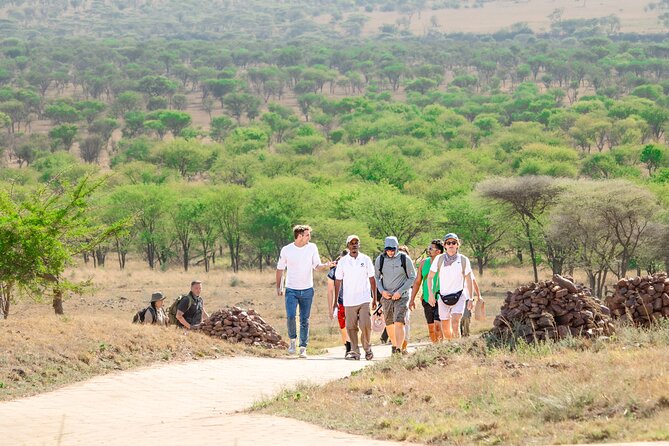 Tanzania Wildlife Encounters - 6 Days - Ngorongoro Conservation Area and the crater morning