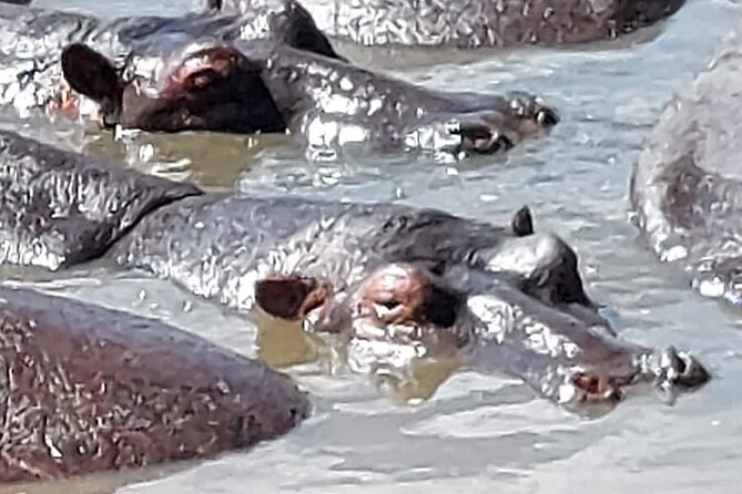 Tanzania Wildlife Safari Budget Camping - Guides, communication, and why names matter on a safari
