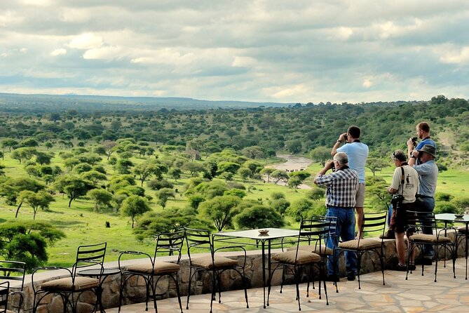 Tarangire Budget Full Day Tour from Arusha - Beyond Elephants: Lions, Giraffes, Buffalo, and the Rest of the Cast