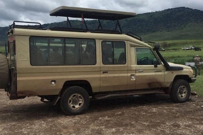 tarangire & ngorongoro 2 days tour - Inside Ngorongoro: black rhinos and easier sightings on the floor