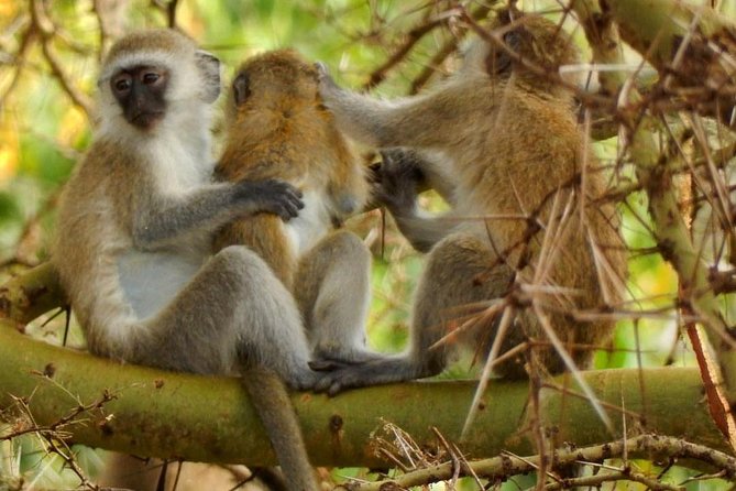 tarangire & ngorongoro 2 days tour - Price and what $1,550 per person actually covers