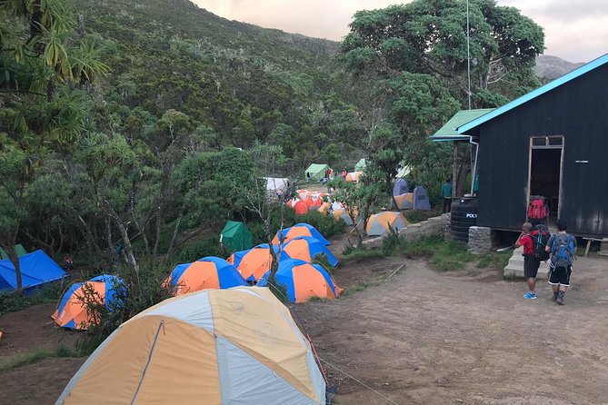 The 6 Days Kilimanjaro Climbing Tour via Machame Route in 2025/26 - Fitness and altitude reality check for Machame in 2025/26