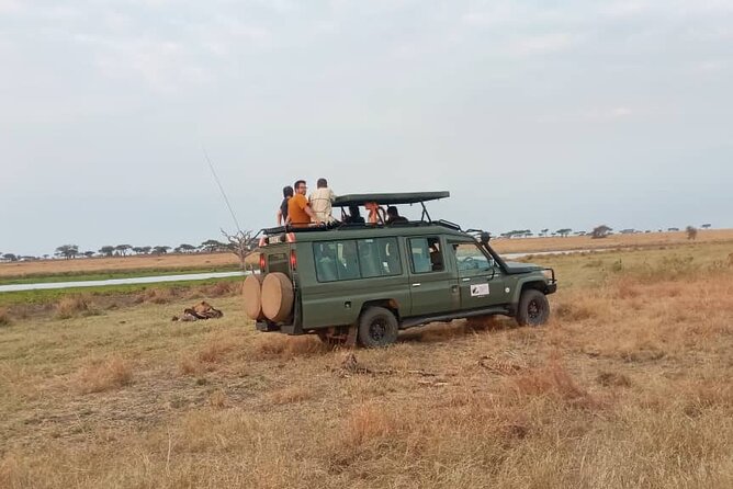 The Best 3Days Start from Mwanza to Serengeti' through Viator - Day 2 In Seronera: Central Serengeti And A River That Does The Work