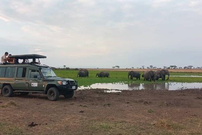 The Best 3Days Start from Mwanza to Serengeti' through Viator - Ngorongoro Crater On Day 3: A 600-Meter Descent Into Predator Country