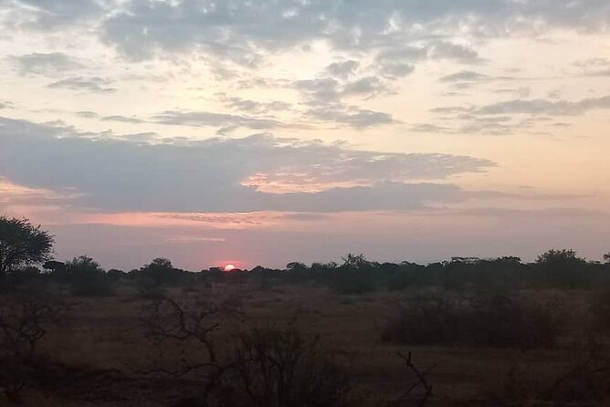 The Best 3Days Start from Mwanza to Serengeti' through Viator - The Private-Tour Difference: Transport, Timing, And Less Chaos