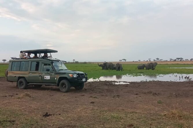 The Best 3Days Start from Mwanza to Serengeti' through Viator - What Wildlife Chances Feel Like Here, Beyond The Headline List