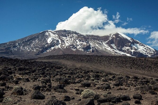 The best 6-Days Kilimanjaro hiking (Machame route)whiskey route - Day 2: Shira Cave camp at 3,840m, big views and crater terrain