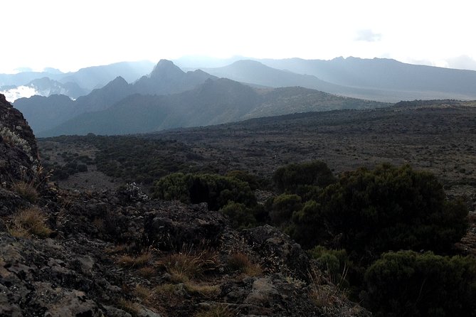 The best 6-Days Kilimanjaro hiking (Machame route)whiskey route - Day 4: Barranco Wall scrambling, Karanga lunch, Barafu Hut at 4,600m