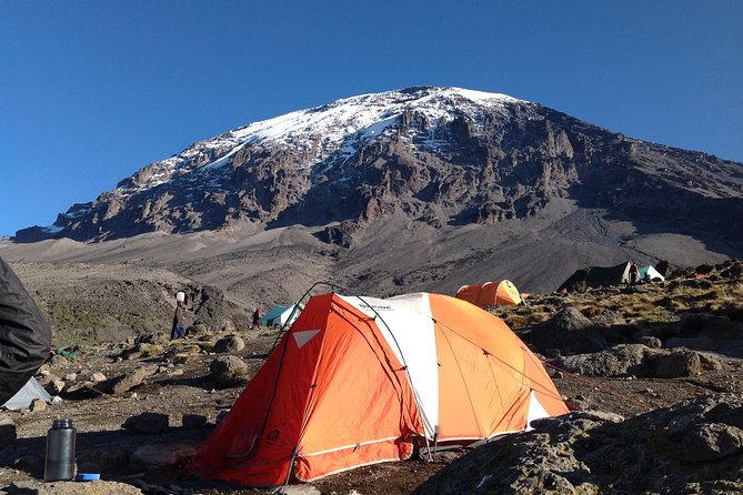 The best 6-Days Kilimanjaro hiking (Machame route)whiskey route - Day 6: Mweka forest descent to Mweka Gate and certificates