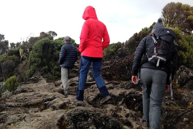 The best 6-Days Kilimanjaro hiking (Machame route)whiskey route - Price and logistics, what the $1,968 covers
